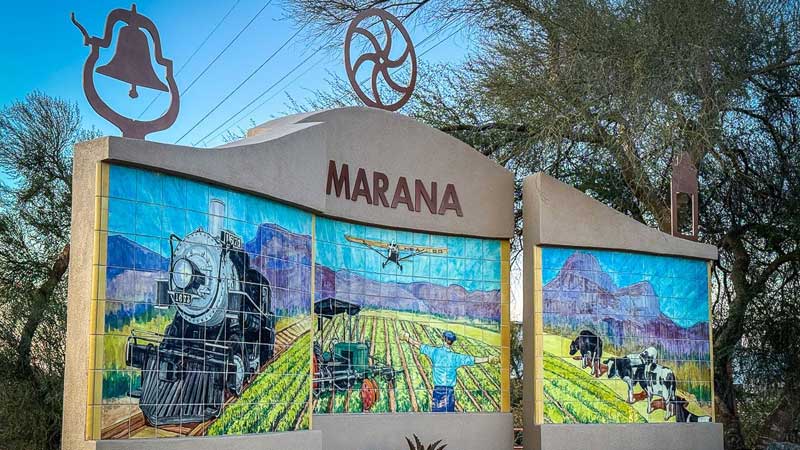 Water Damage Cleanup In Marana Az
