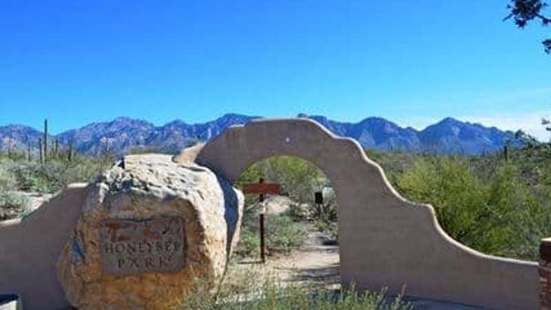 Water Damage Cleanup In Oro Valley Az