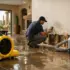 Structural Drying Services Tucson Property Owners Need